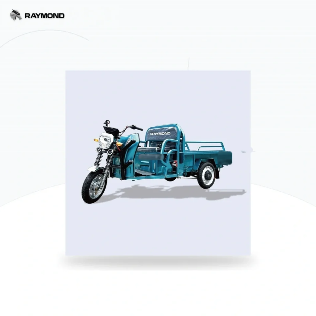 Raymon Cargo Electric Tricycle 0015