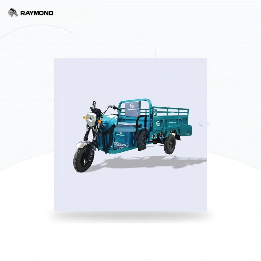 Raymon Cargo Electric Tricycle 0016