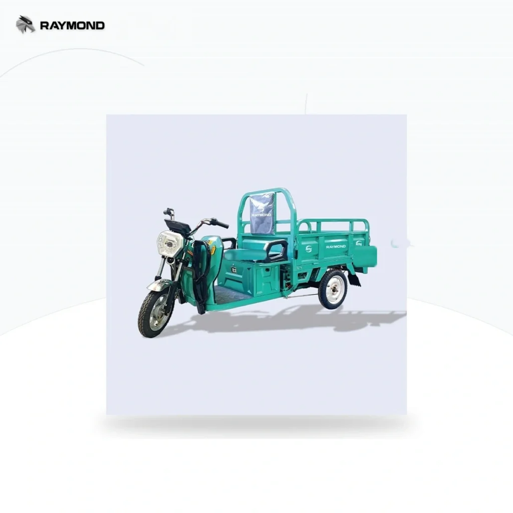 Raymon Cargo Electric Tricycle 0017
