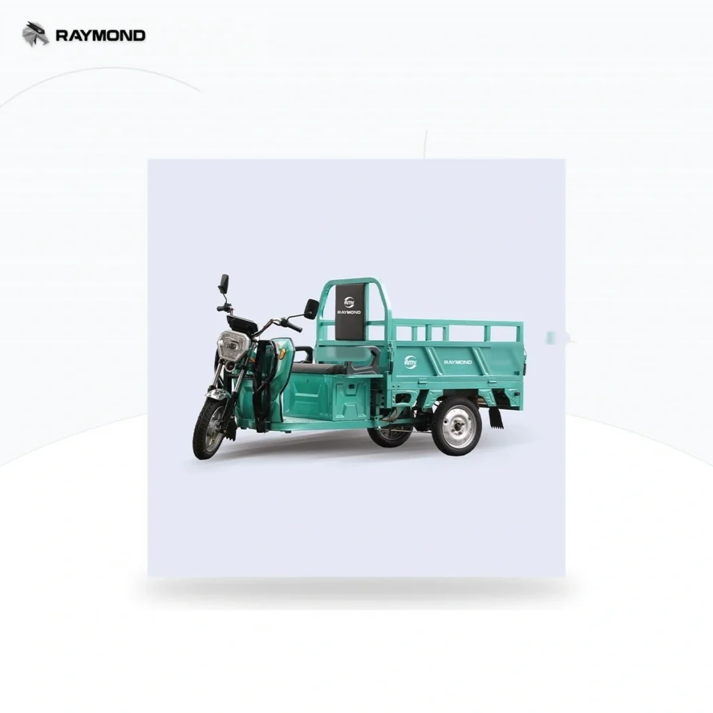 Raymon Cargo Electric Tricycle 0018