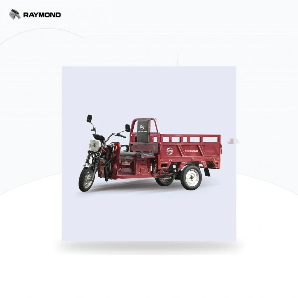 Raymon Cargo Electric Tricycle 0019