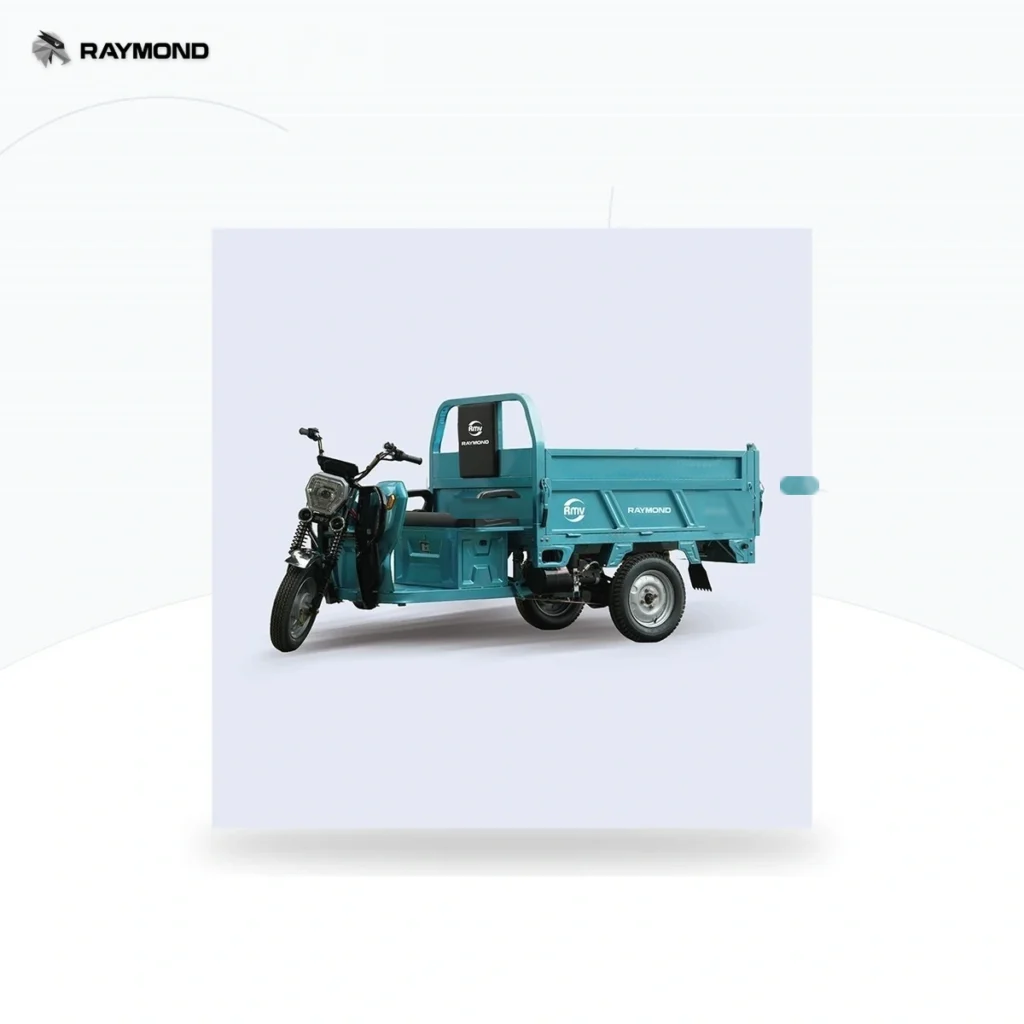 Raymon Cargo Electric Tricycle 0020