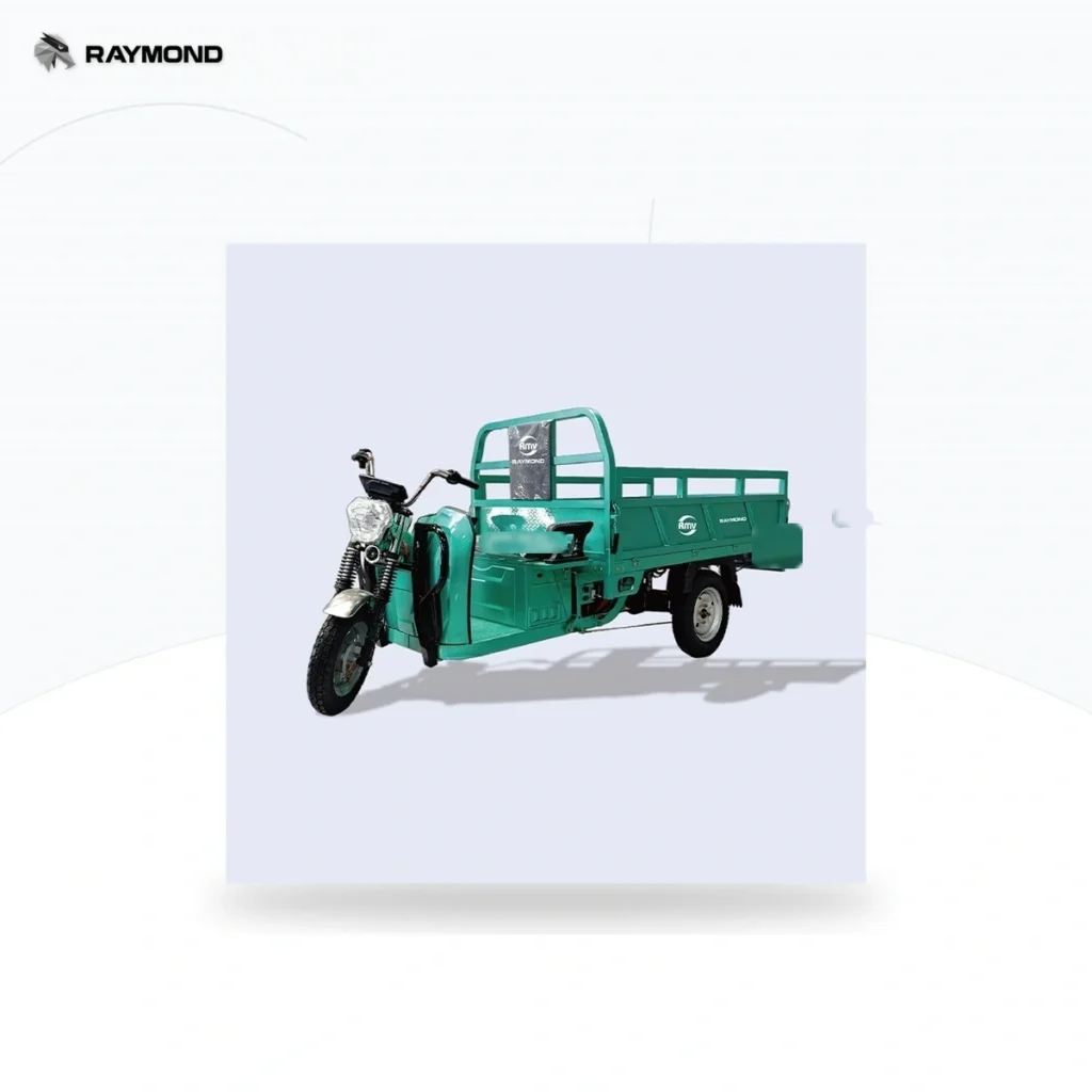 Raymon Cargo Electric Tricycle 0021