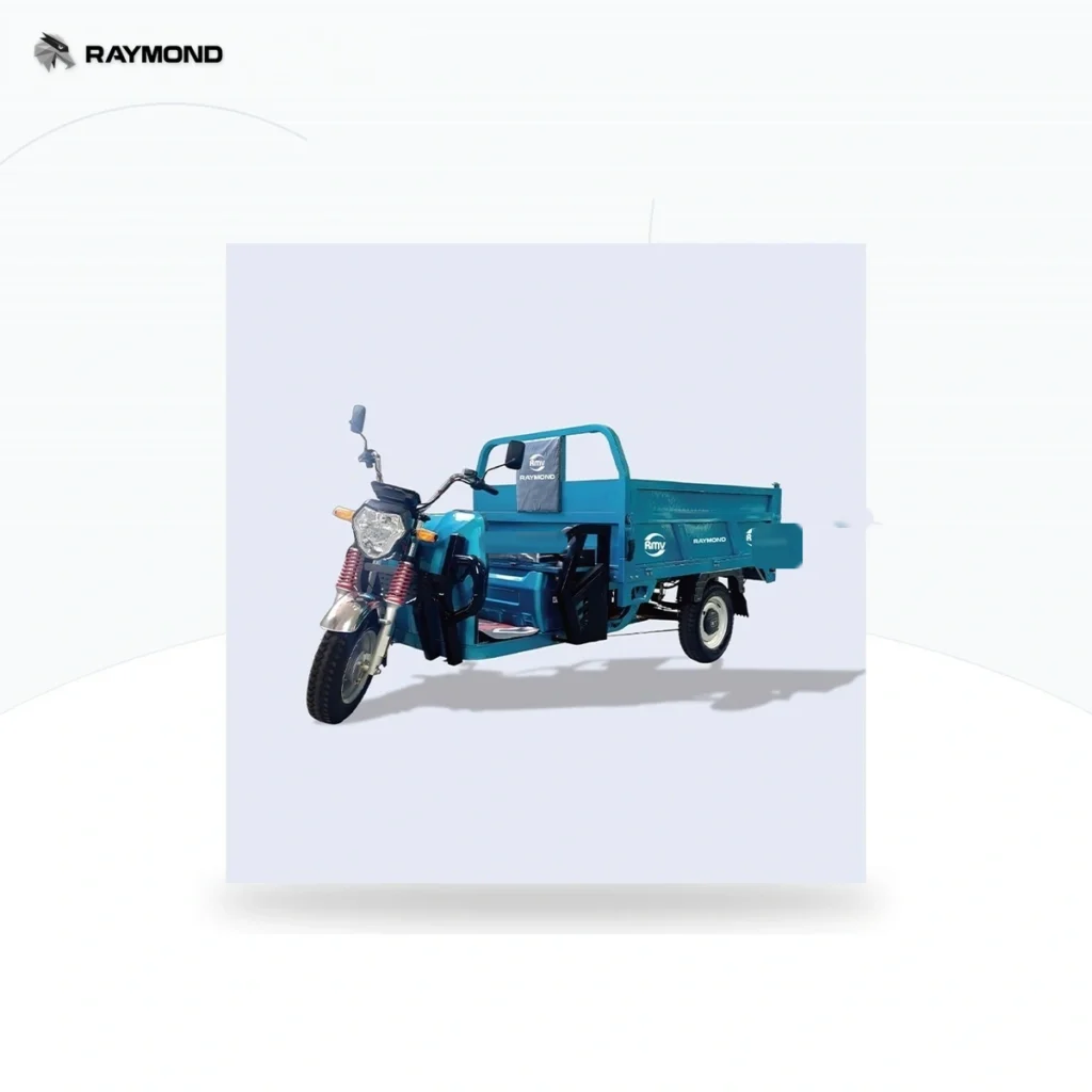 Raymon Cargo Electric Tricycle 0022