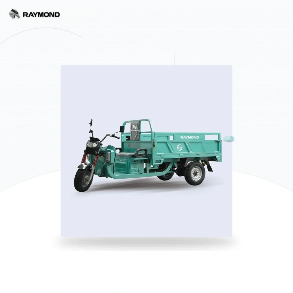 Raymon Cargo Electric Tricycle 0023