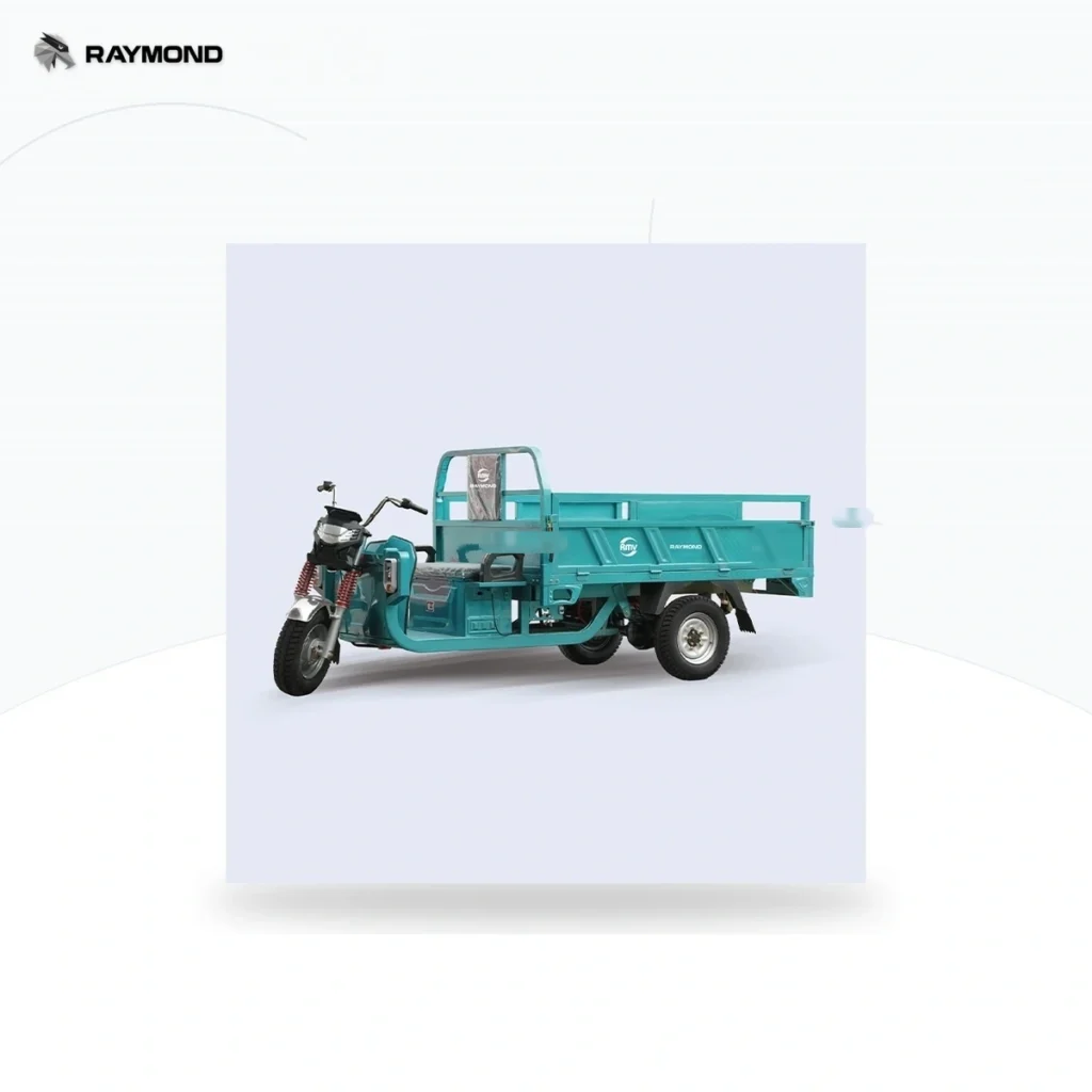 Raymon Cargo Electric Tricycle 0024