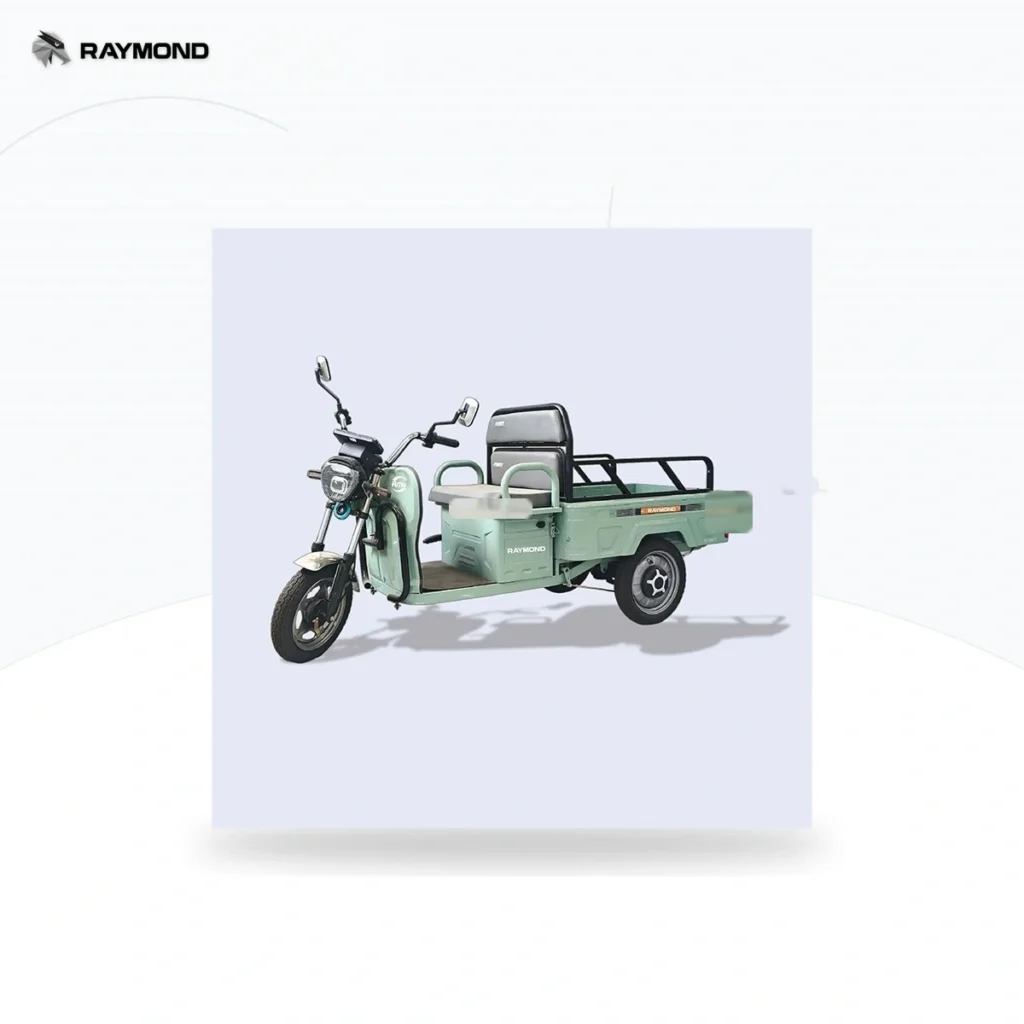 Raymon Cargo Electric Tricycle 0025