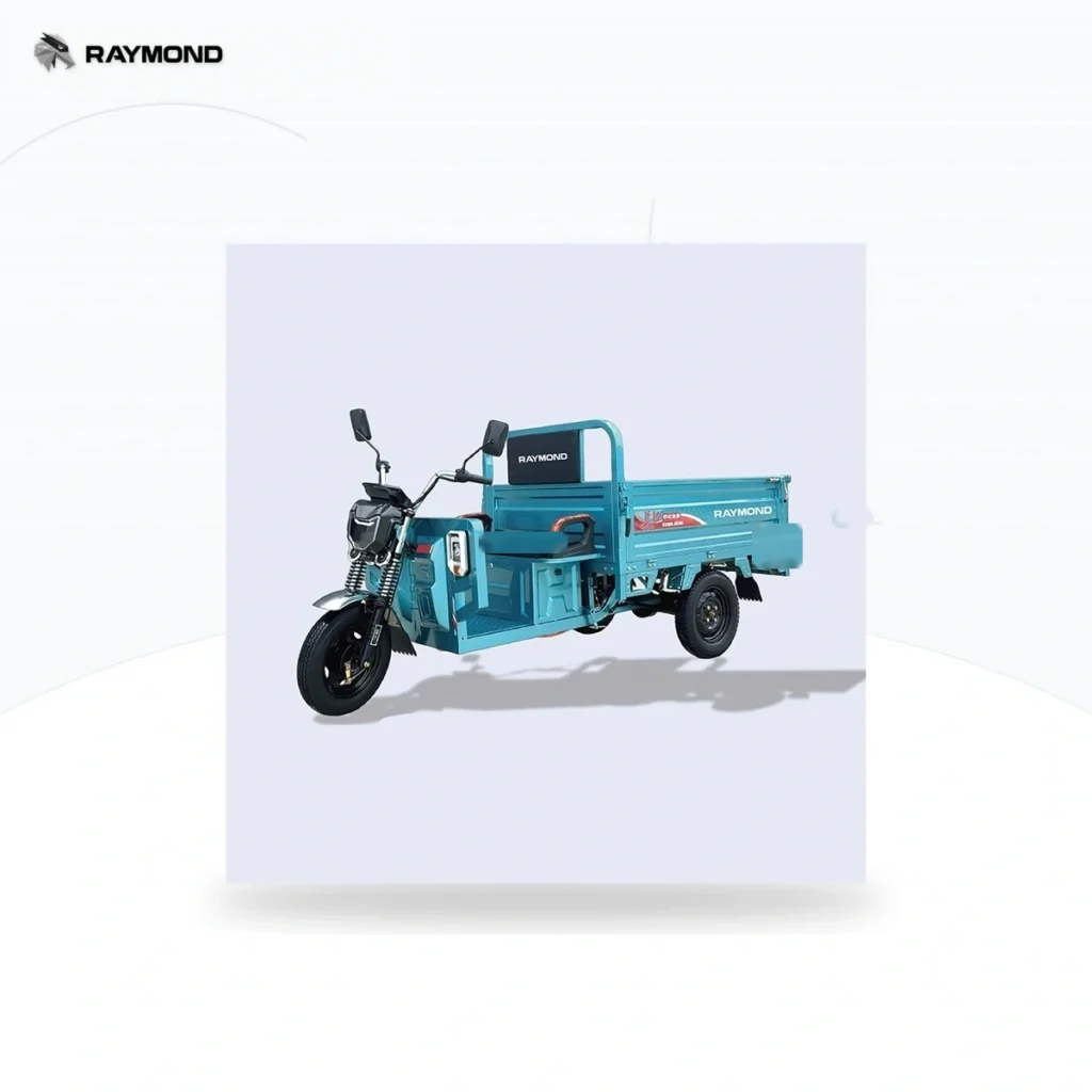 Raymon Cargo Electric Tricycle 0026