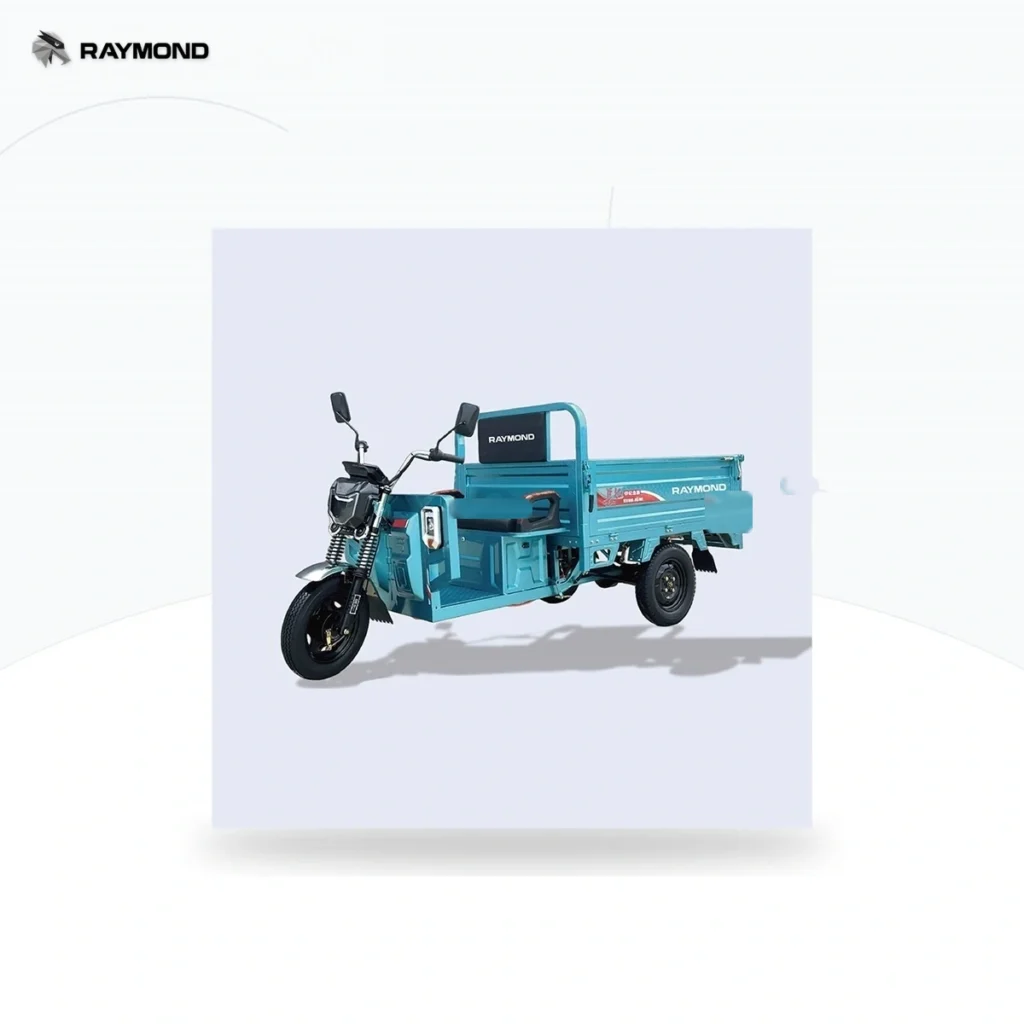 Raymon Cargo Electric Tricycle 0027