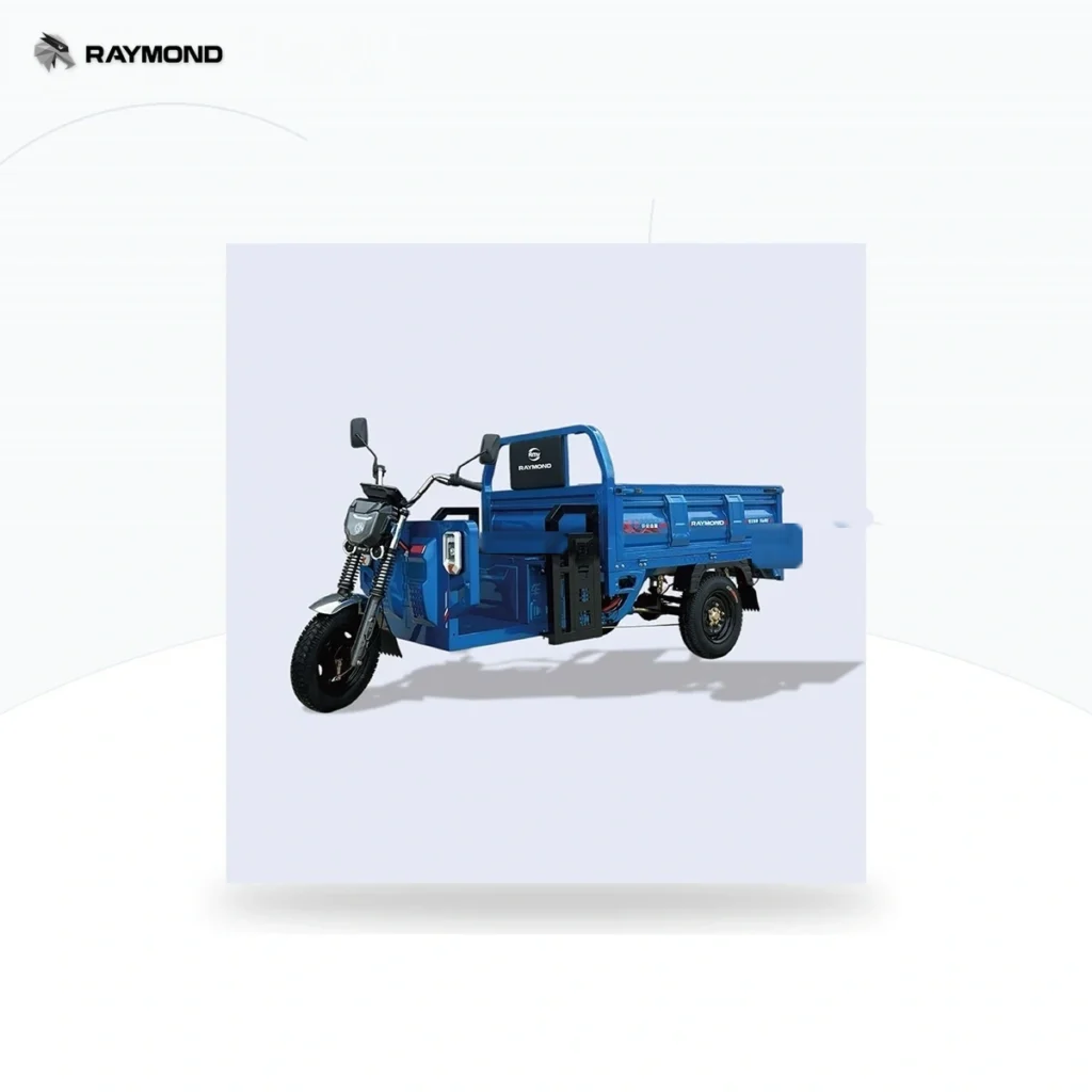Raymon Cargo Electric Tricycle 0028