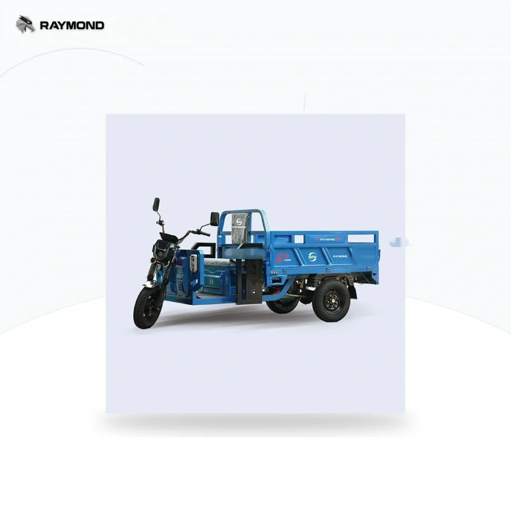 Raymon Cargo Electric Tricycle 0029