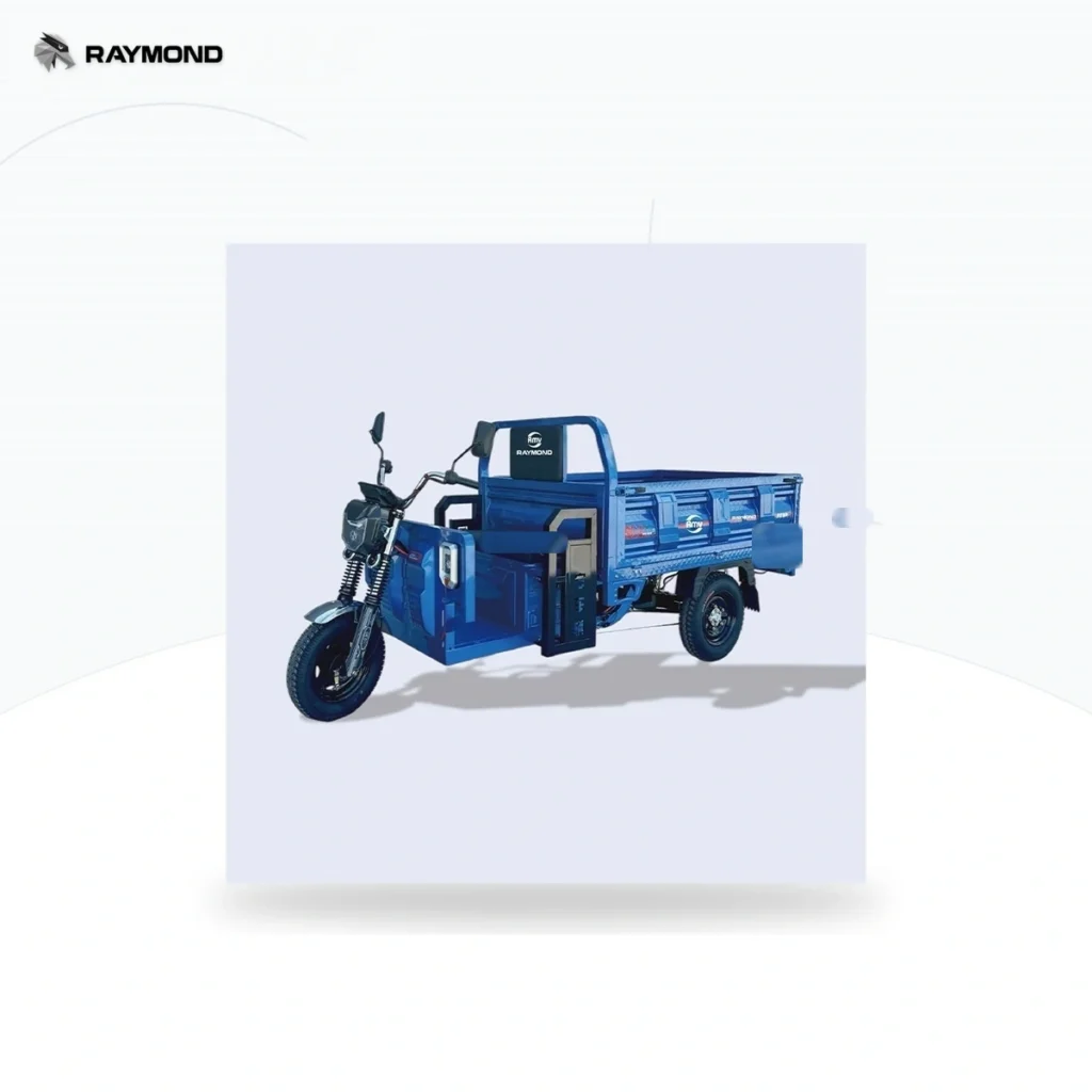 Raymon Cargo Electric Tricycle 0030