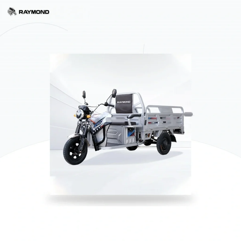 Raymon Cargo Electric Tricycle 0031
