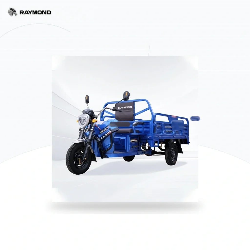 Raymon Cargo Electric Tricycle 0032