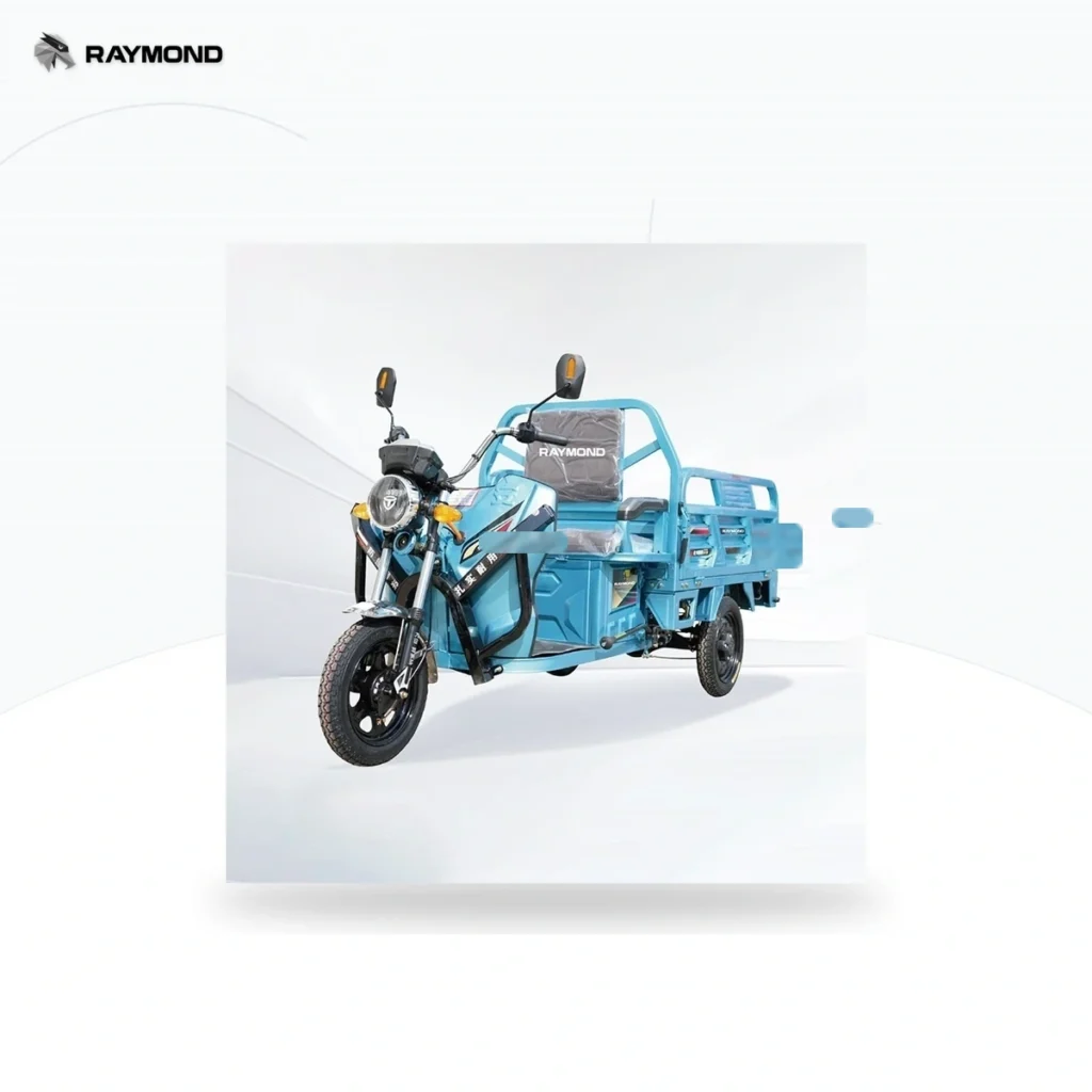 Raymon Cargo Electric Tricycle 0033