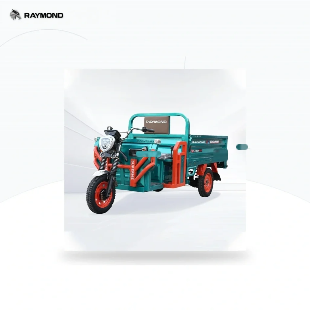 Raymon Cargo Electric Tricycle 0034