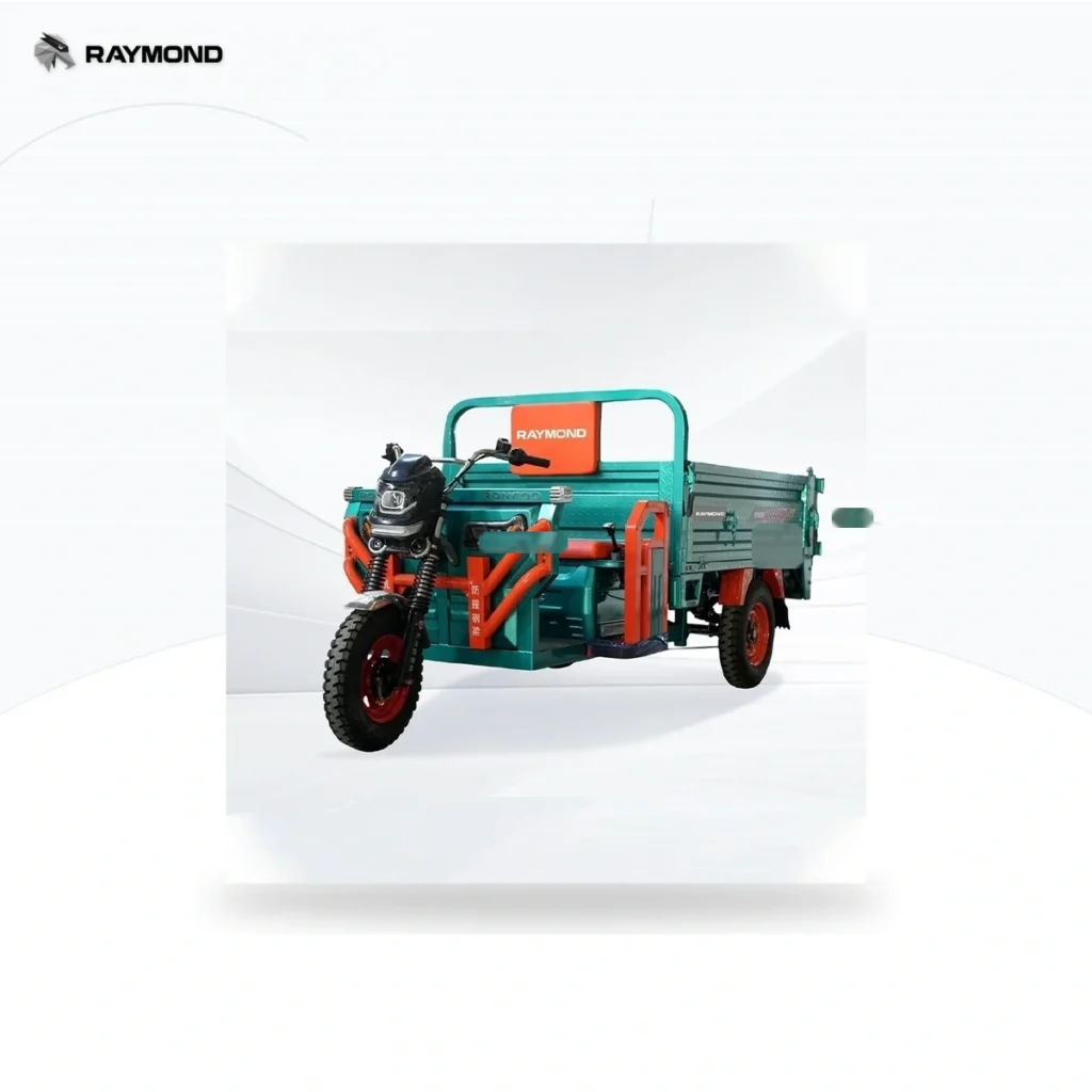 Raymon Cargo Electric Tricycle 0036