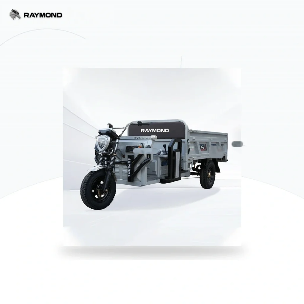 Raymon Cargo Electric Tricycle 0037