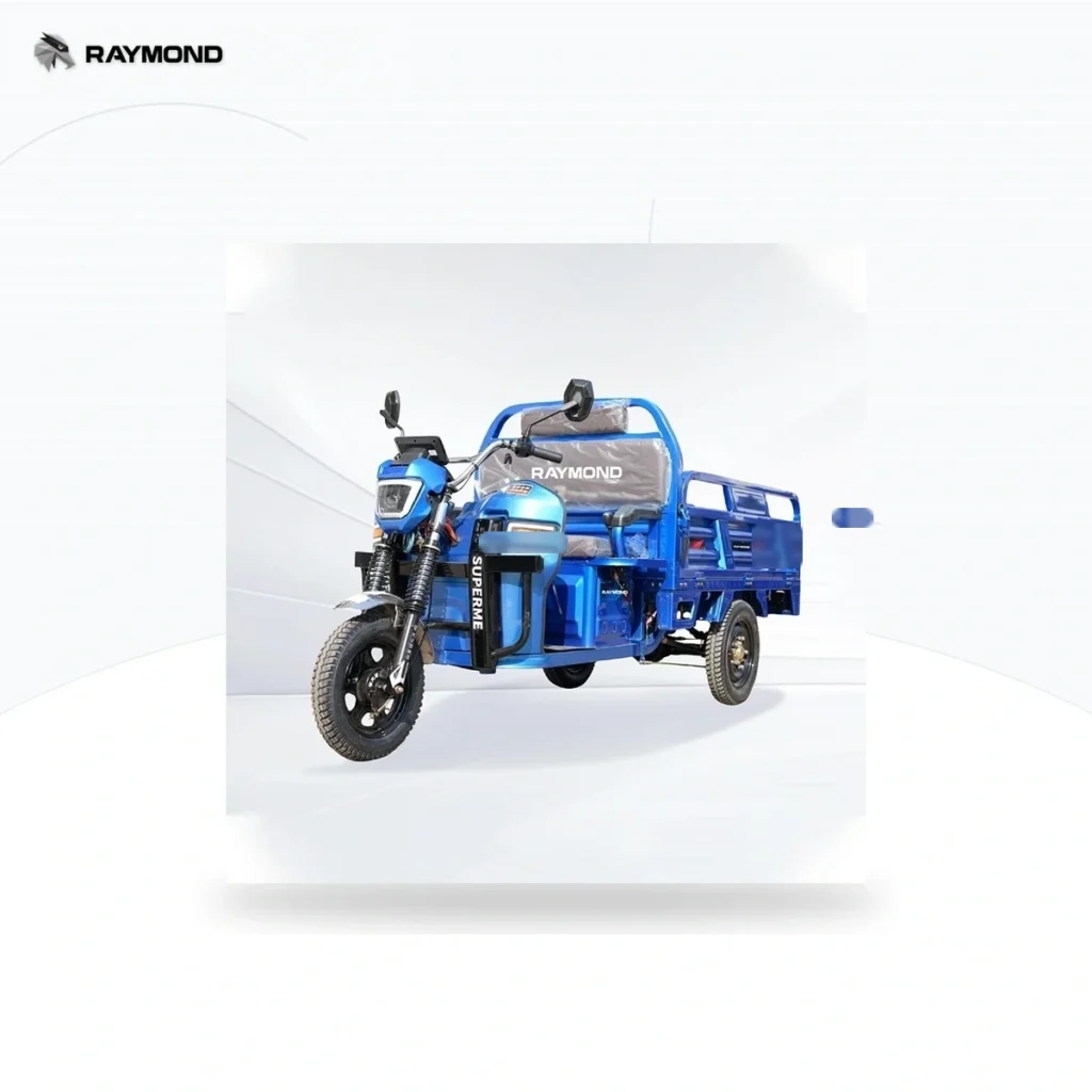 Raymon Cargo Electric Tricycle 0038