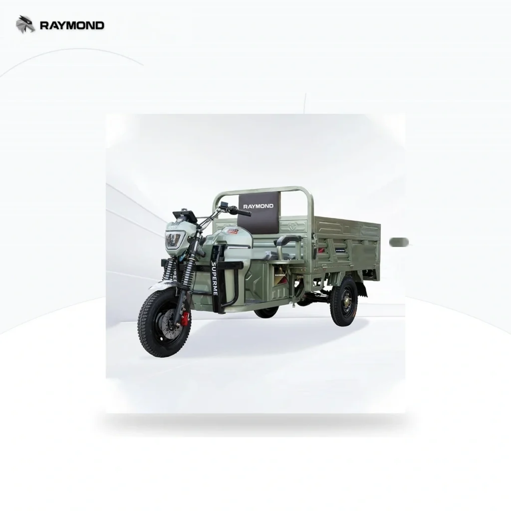 Raymon Cargo Electric Tricycle 0039