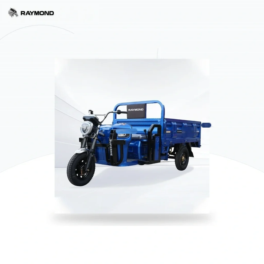 Raymon Cargo Electric Tricycle 0040