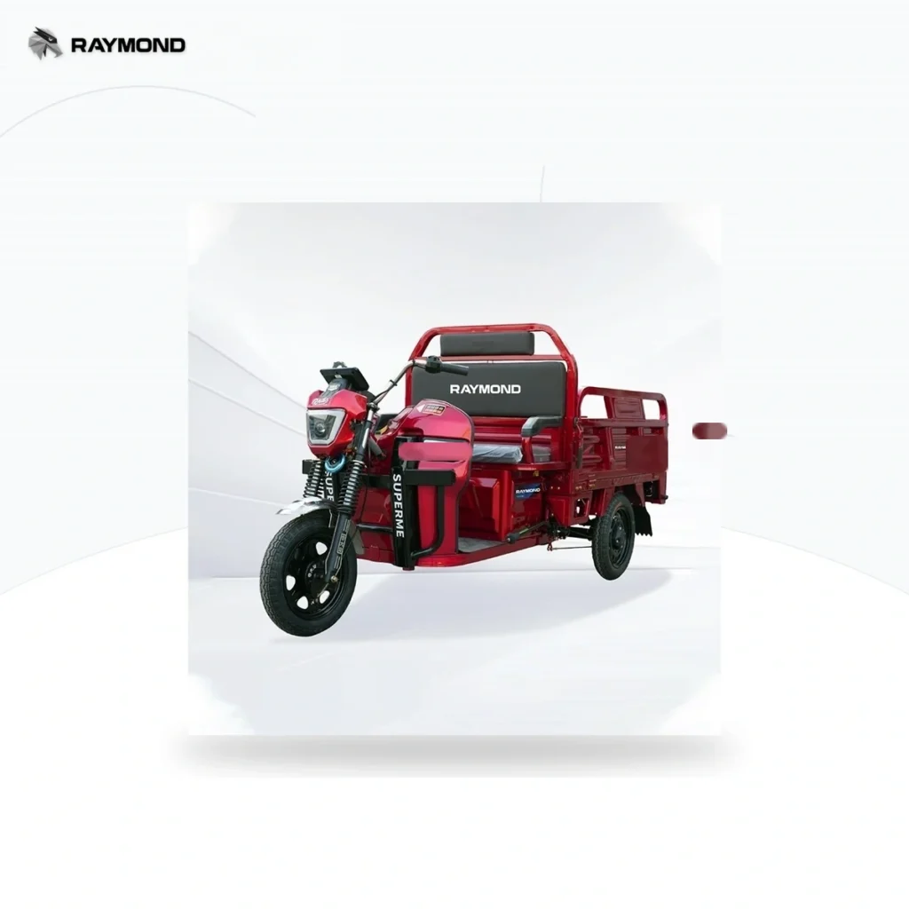 Raymon Cargo Electric Tricycle 0041