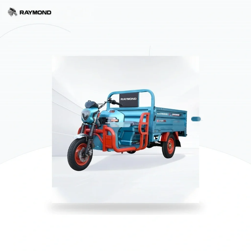 Raymon Cargo Electric Tricycle 0042