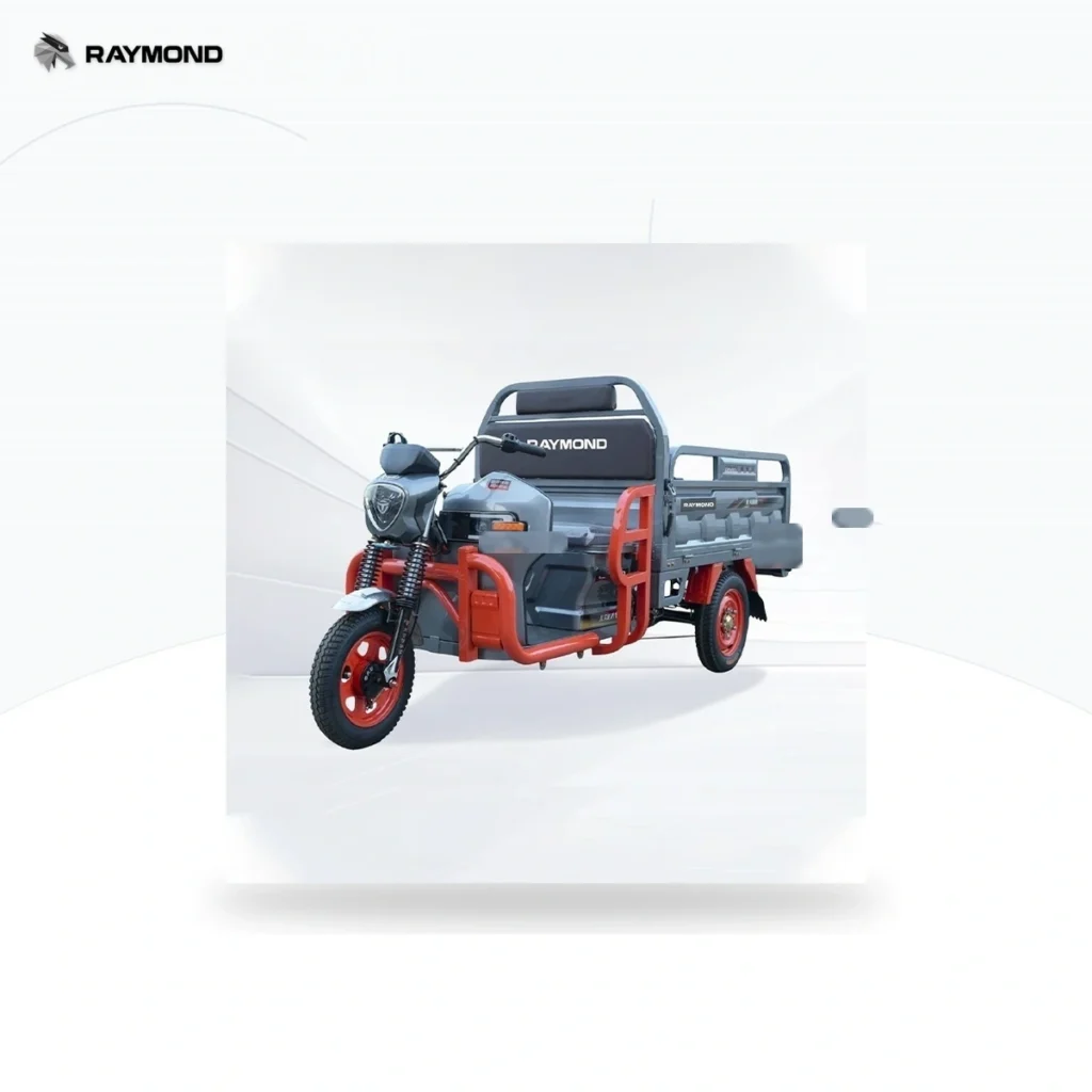 Raymon Cargo Electric Tricycle 0043