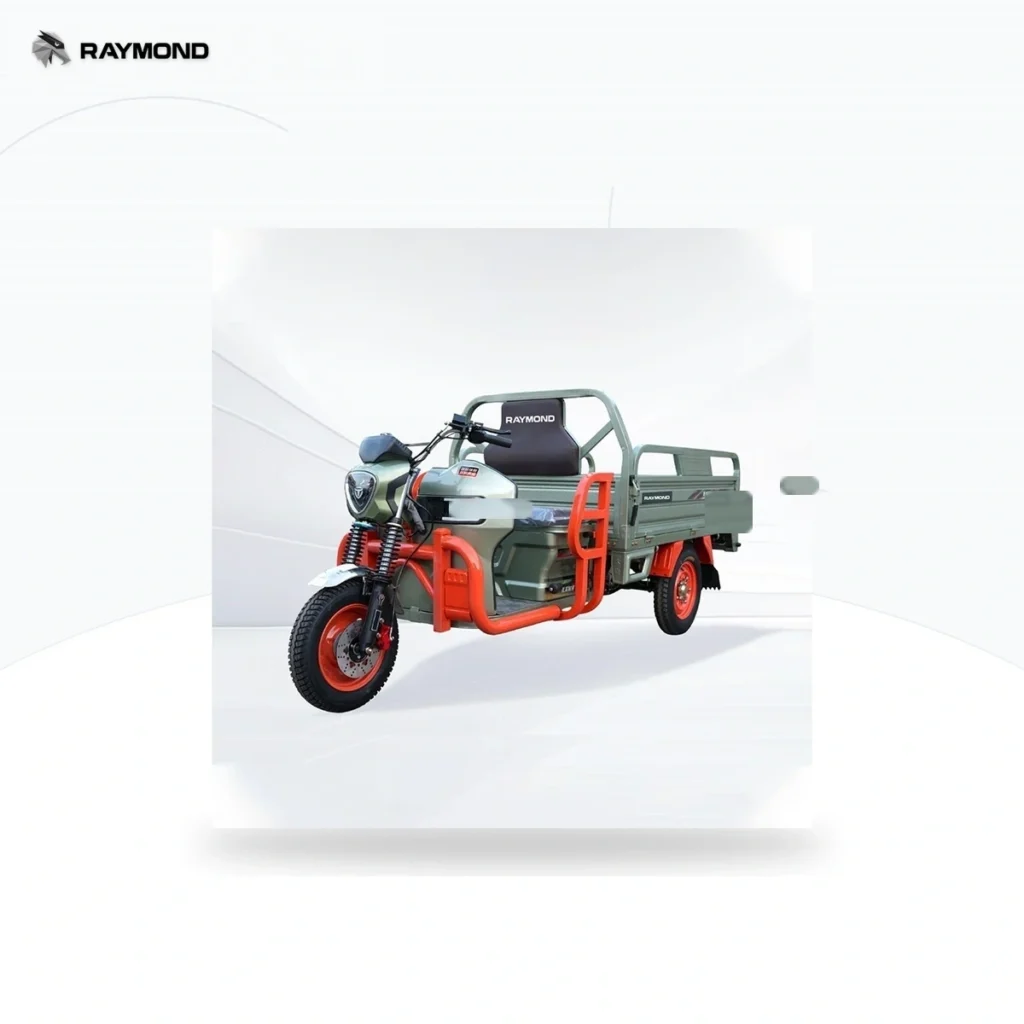Raymon Cargo Electric Tricycle 0044