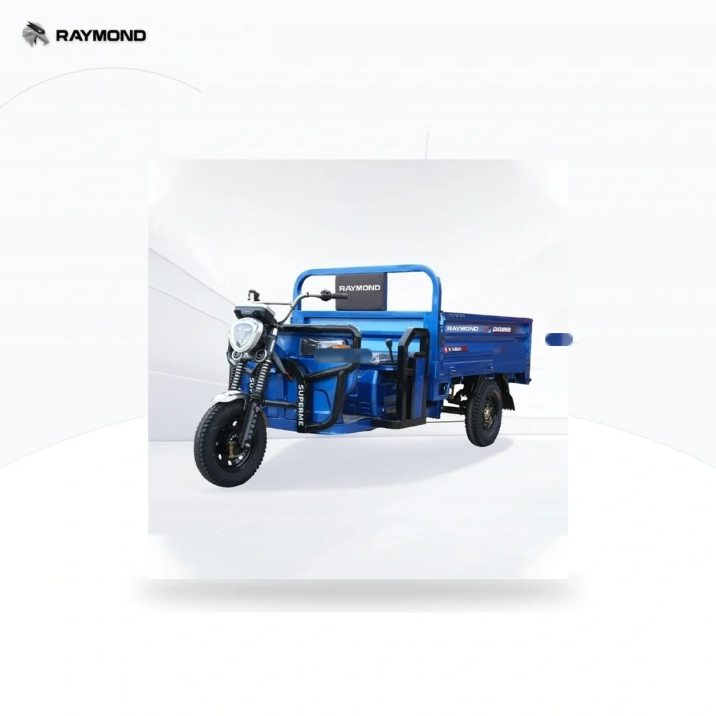 Raymon Cargo Electric Tricycle 0045