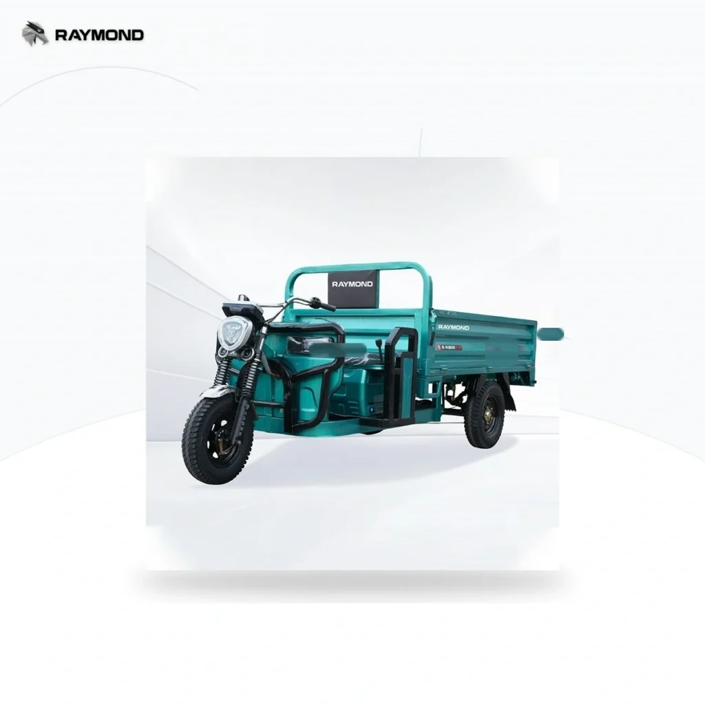 Raymon Cargo Electric Tricycle 0046