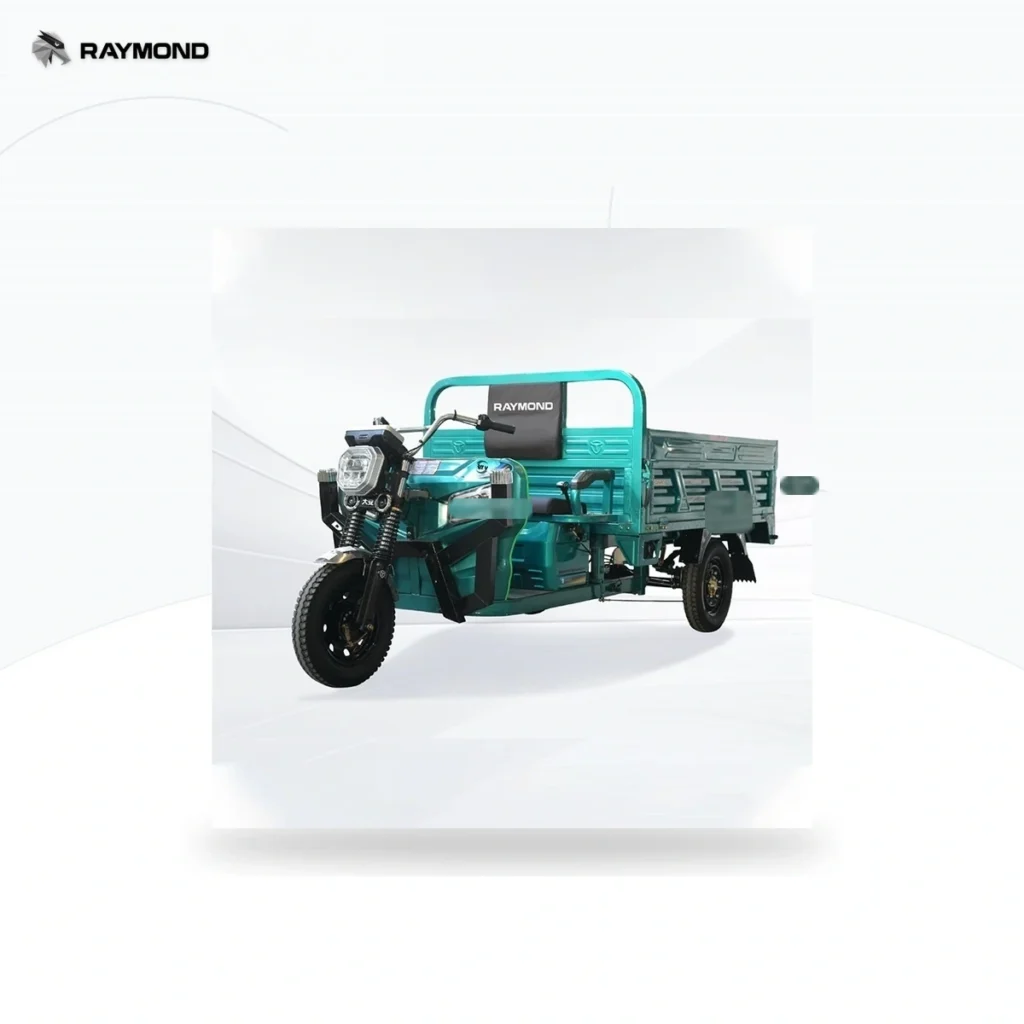 Raymon Cargo Electric Tricycle 0047
