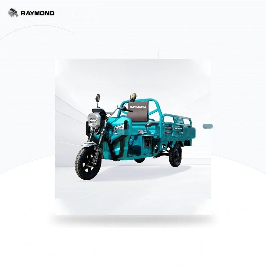 Raymon Cargo Electric Tricycle 0048