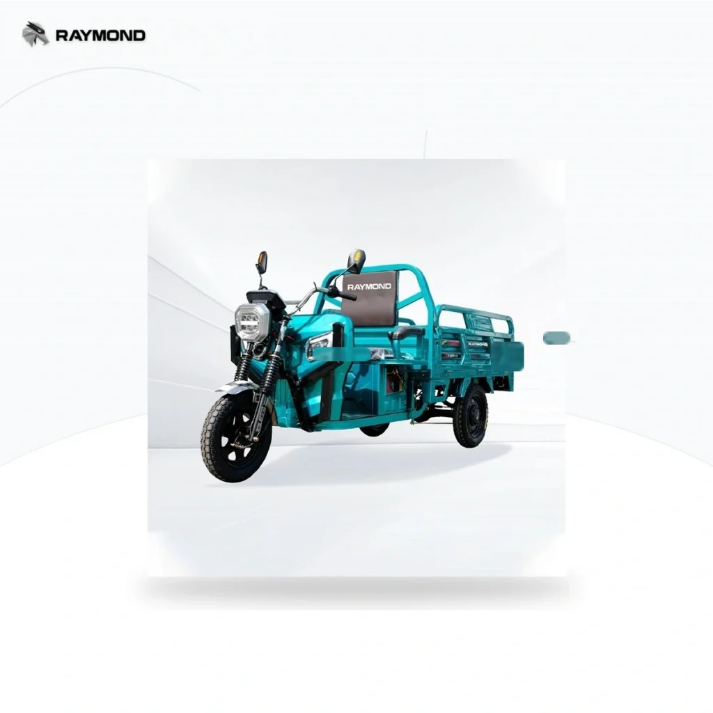 Raymon Cargo Electric Tricycle 0049
