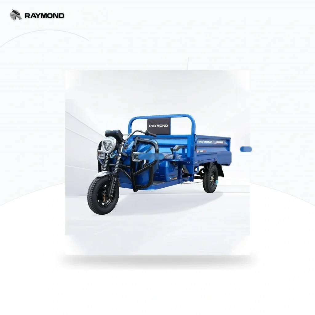 Raymon Cargo Electric Tricycle 0051