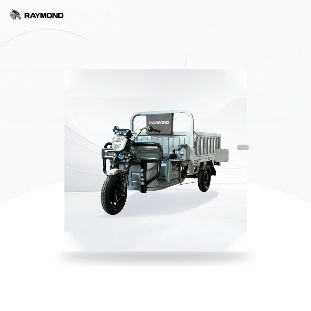 Raymon Cargo Electric Tricycle 0052