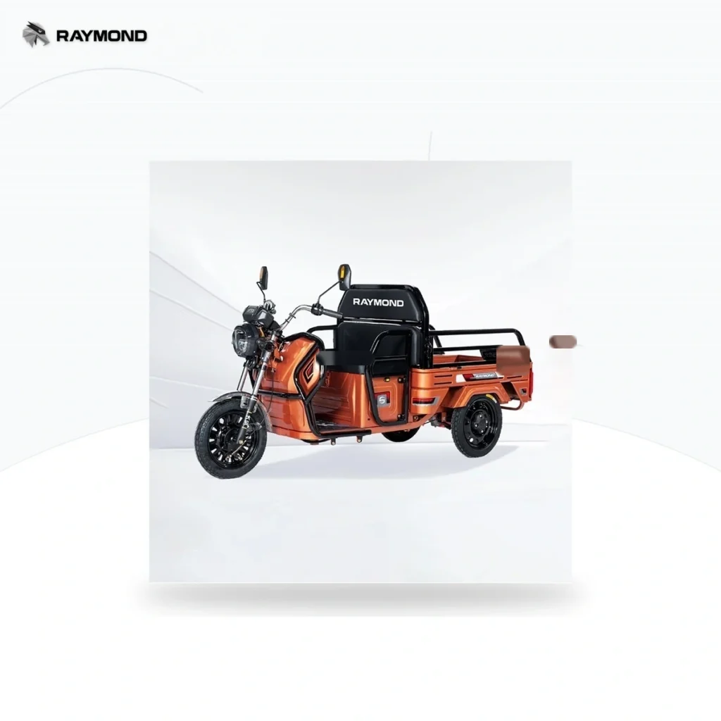 Raymon Cargo Electric Tricycle 0053