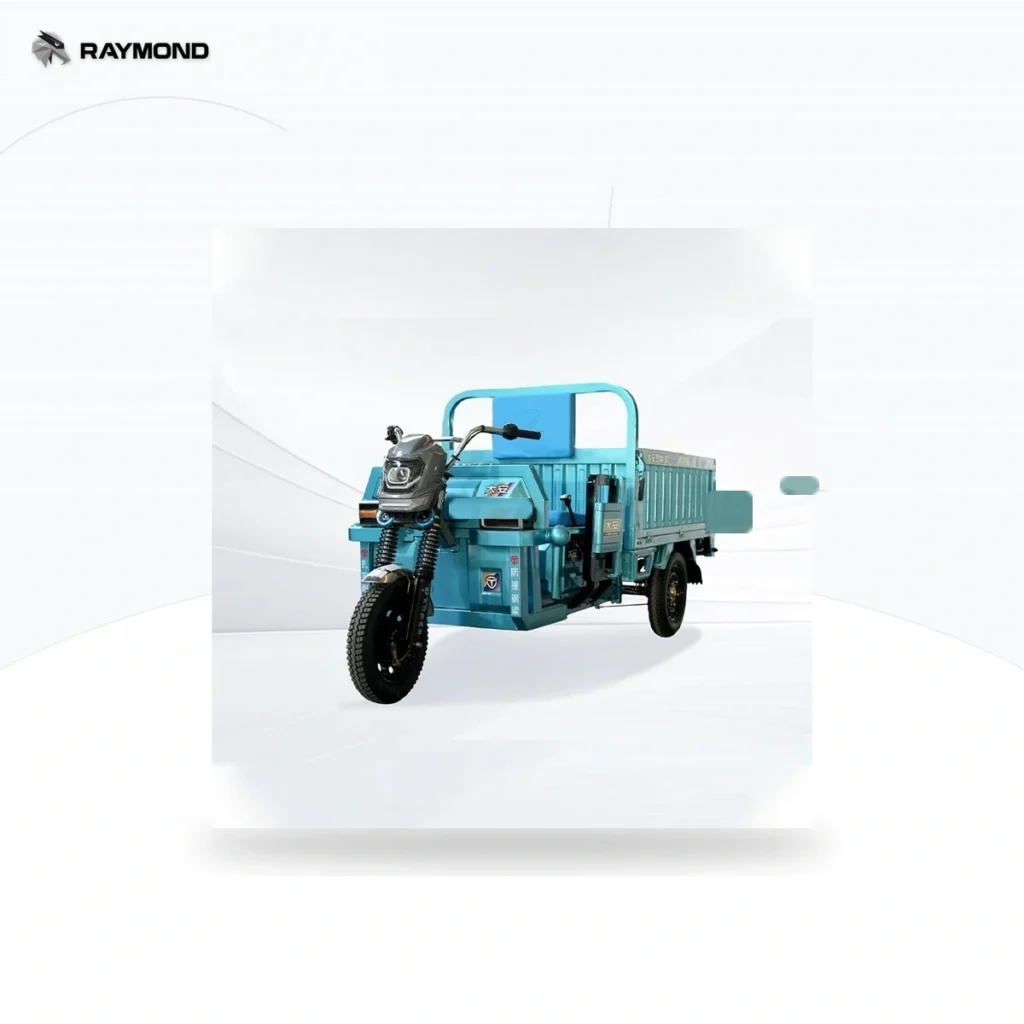 Raymon Cargo Electric Tricycle 0054