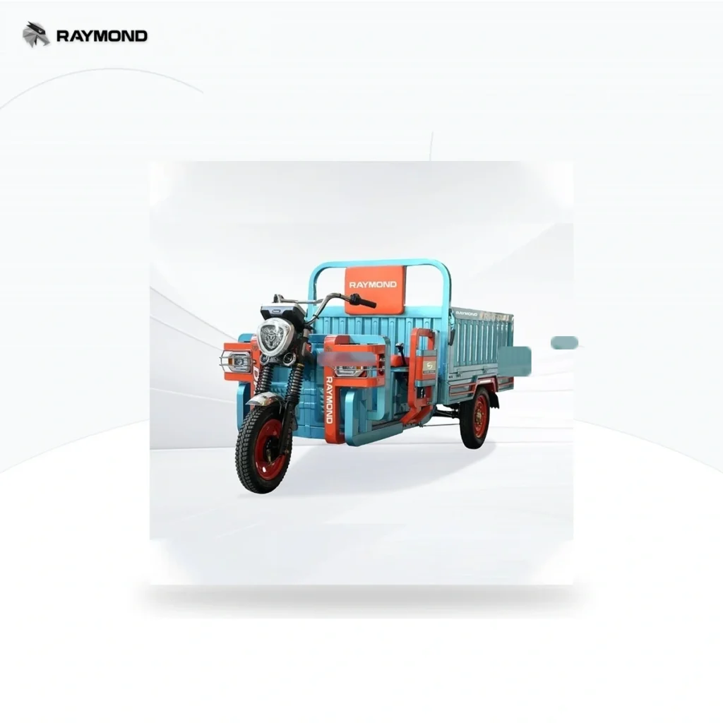 Raymon Cargo Electric Tricycle 0055