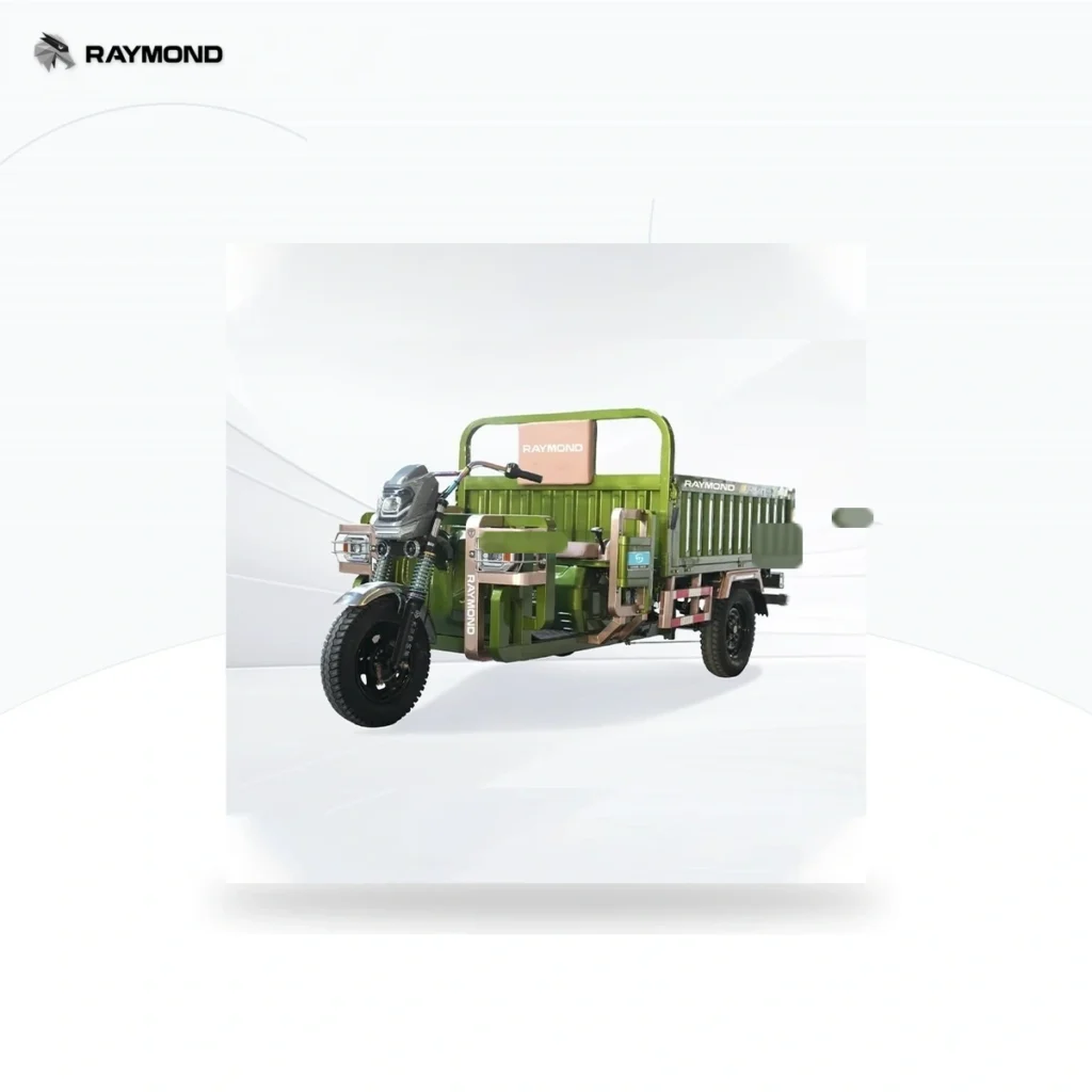 Raymon Cargo Electric Tricycle 0056