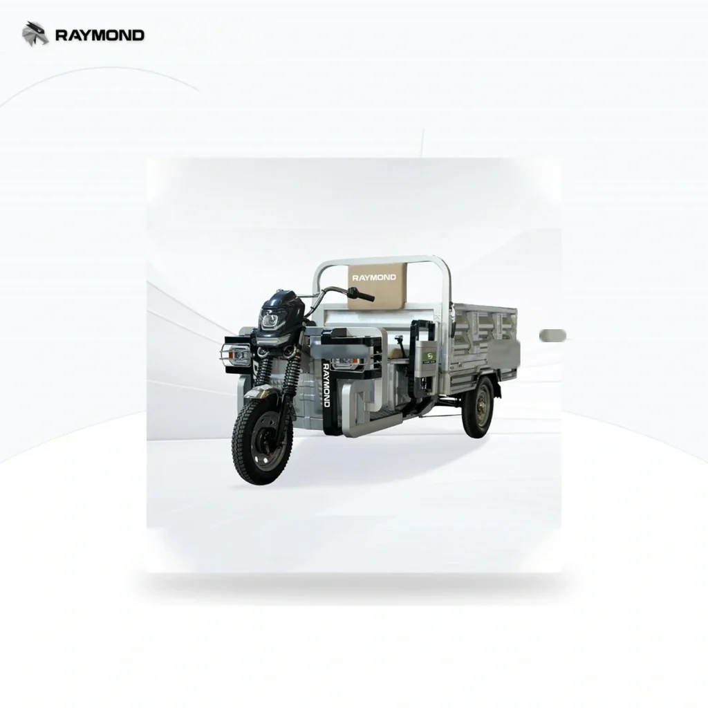Raymon Cargo Electric Tricycle 0057