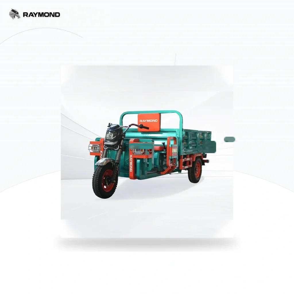 Raymon Cargo Electric Tricycle 0058