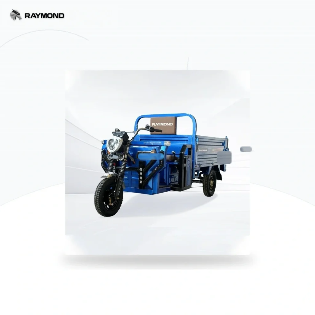 Raymon Cargo Electric Tricycle 0059
