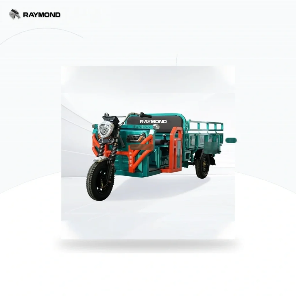 Raymon Cargo Electric Tricycle 0060