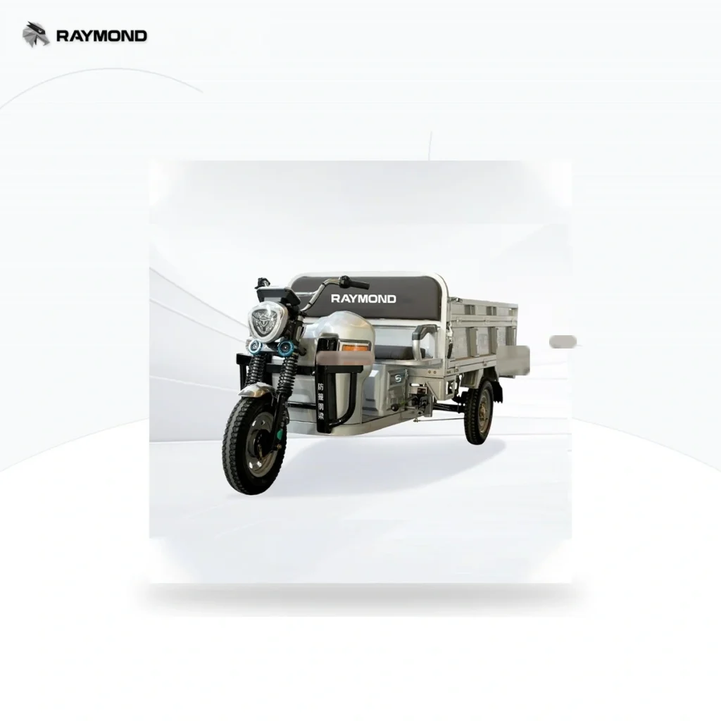 Raymon Cargo Electric Tricycle 0061