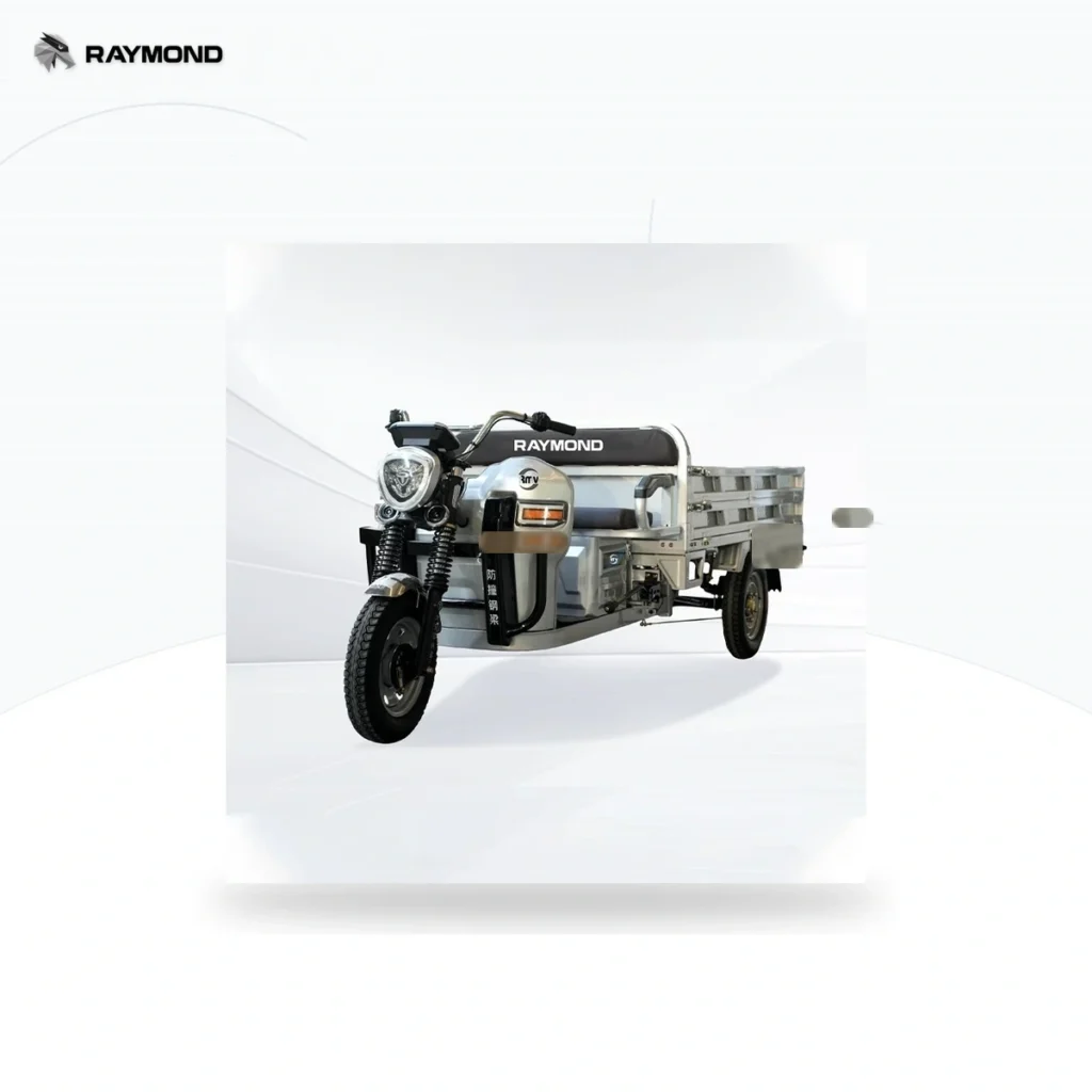 Raymon Cargo Electric Tricycle 0062