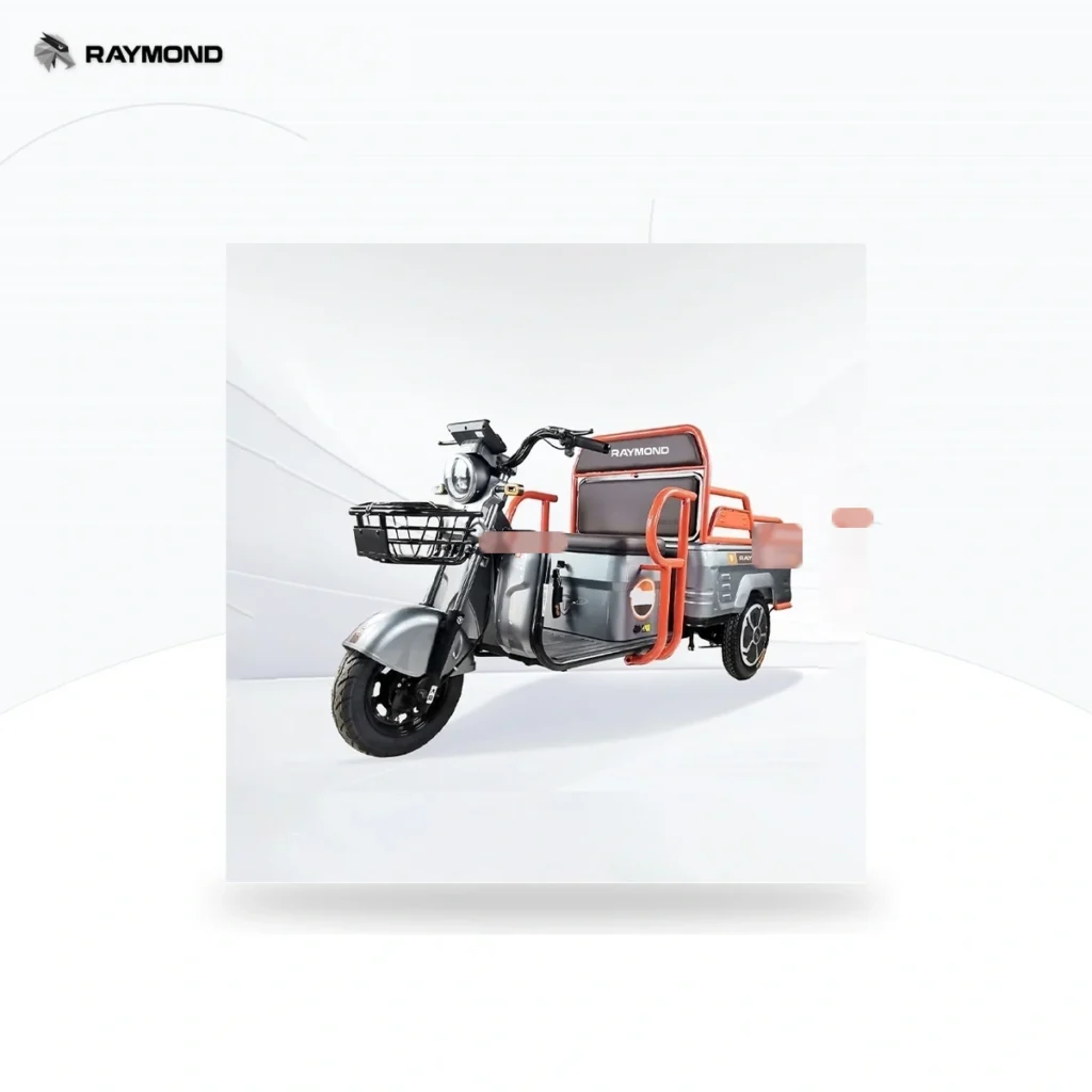 Raymon Cargo Electric Tricycle 0063