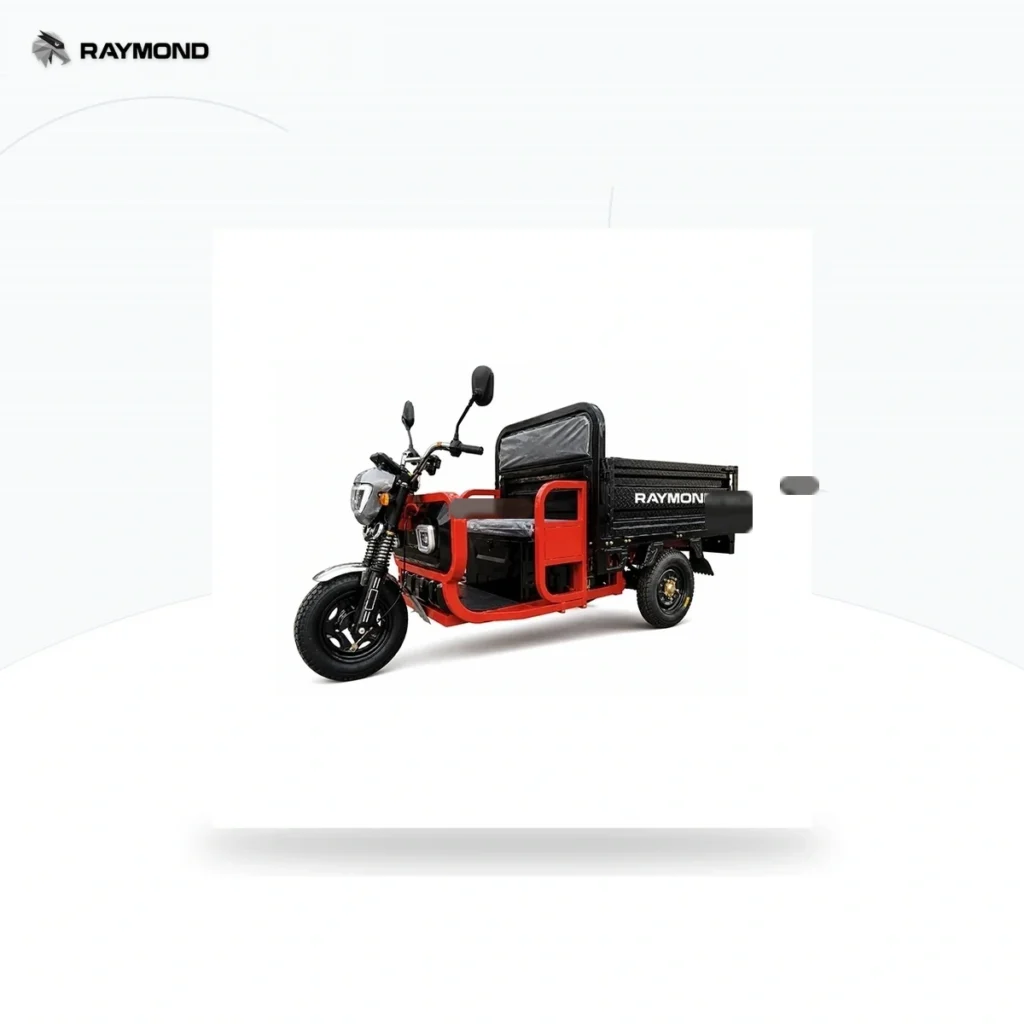 Raymon Cargo Electric Tricycle 0176