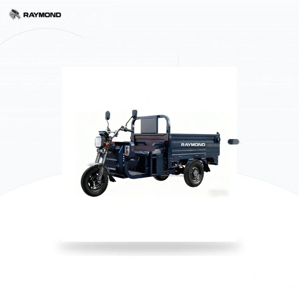 Raymon Cargo Electric Tricycle 0177