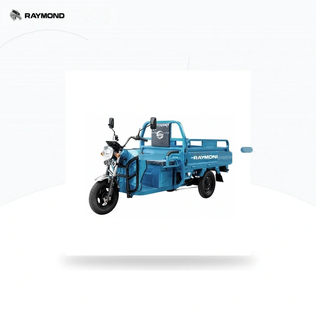 Raymon Cargo Electric Tricycle 0178